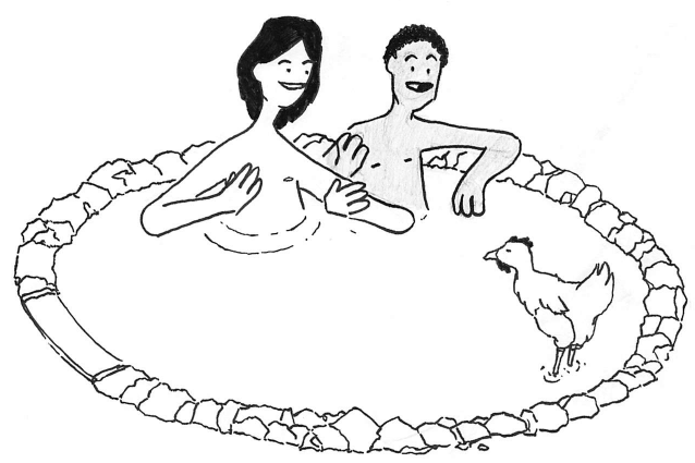 metafight_wisdom_chicken